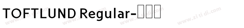 TOFTLUND Regular字体转换